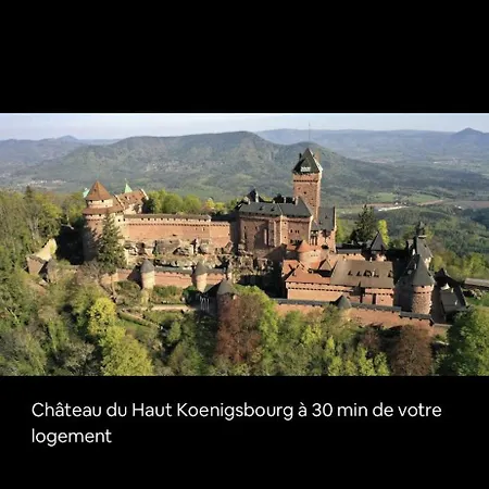 Lägenhet Confort, Recharge Voiture Electrique Horbourg