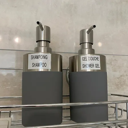 Confort, Recharge Voiture Electrique Lägenhet Horbourg