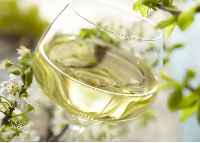 Confort, Recharge Voiture Electrique Horbourg