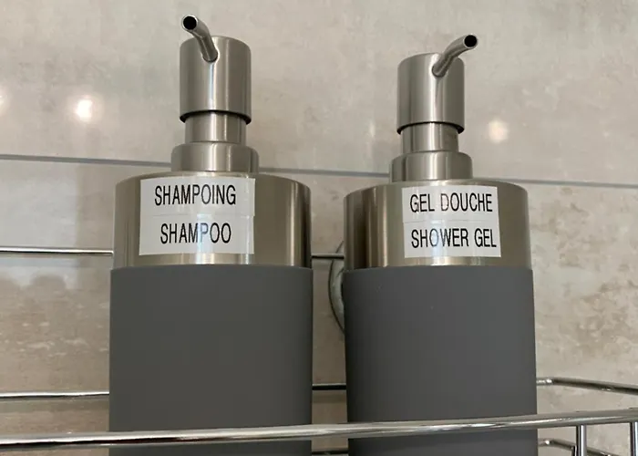 Confort, Recharge Voiture Electrique Lejlighed Horbourg